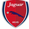 Жагуар Пернамбуко U20