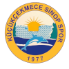 Кючюкчекмедже Синопспор