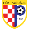 Посушье U19