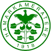 Хамаркамератене U19