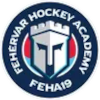 Фехервар Академия U20