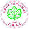 Ампелакиакос Саламинас