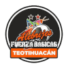 Alebrijes Oaxaca 3 Teotihuacan