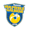 Вулпителе Галбене Роман (ж)